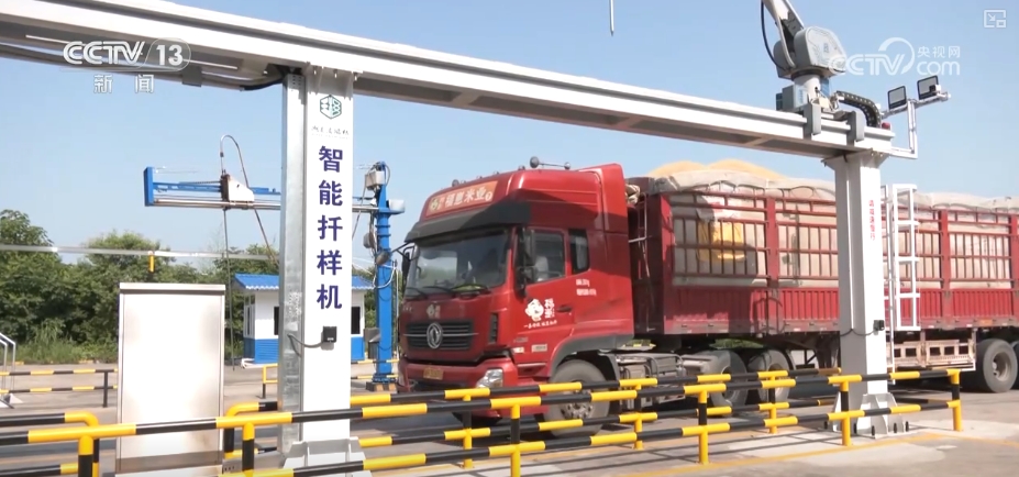 粮食减损过硬“新招”让颗粒归仓有保障 科技赋能夯实粮食安全