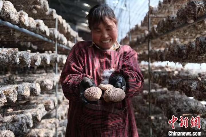 碳路中国｜中国乡村探索低碳发展路径 构建可持续未来(图1)
