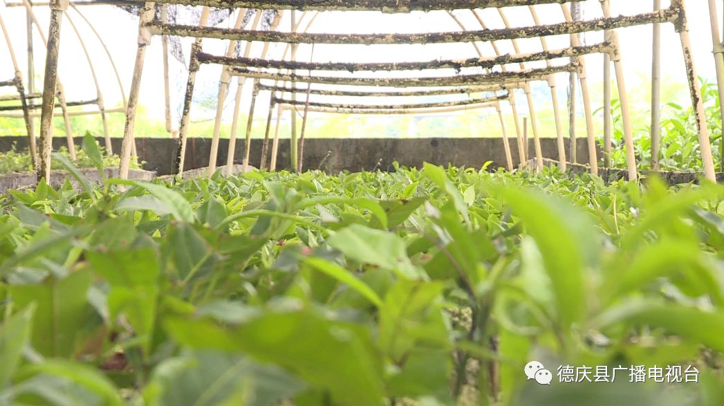 智慧农业精准突破亟待持续发力(图1)