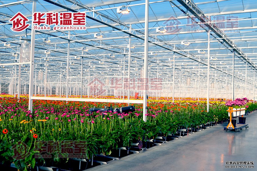用于作物种植的可持续农业是什么？(图1)