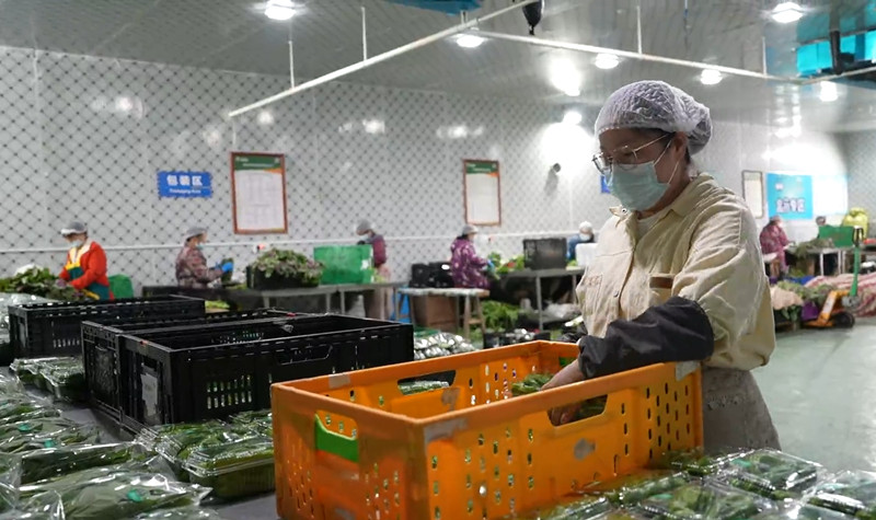 湖北移动打造食品安全AI监管新范式 守护市民“菜篮子”(图1)