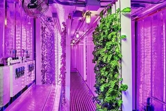 广东富丽士食品科技有限公司厂区项目变更建设工程规划许可证及建设工程规划条件核实批前公示(图1)