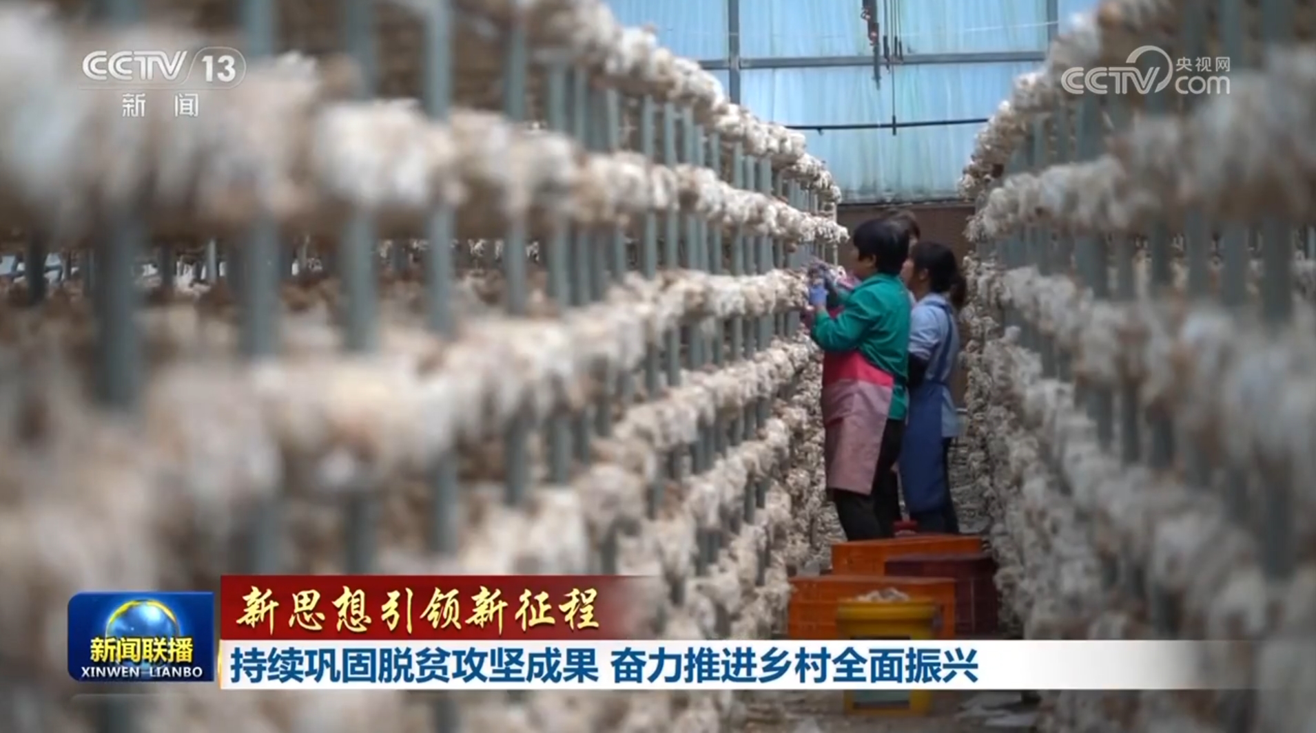 【新思想引领新征程】持续巩固脱贫攻坚成果 奋力推进乡村全面振兴(图1)