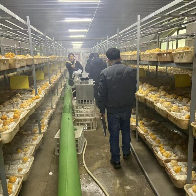 四川芝皇农业：人才驱动科技赋能可持续发展(图1)
