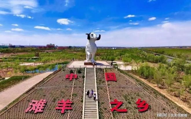 “寻滩鲜滩羊”：让科学养殖扎根大地让可持续发展照亮滩羊产业(图1)