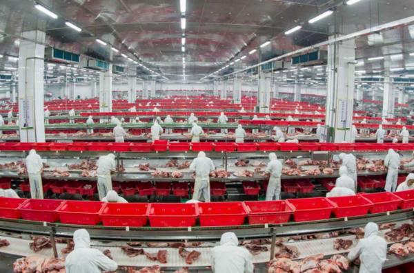 科技赋能+全链条管控：金锣集团打造肉制品安全新标杆(图1)