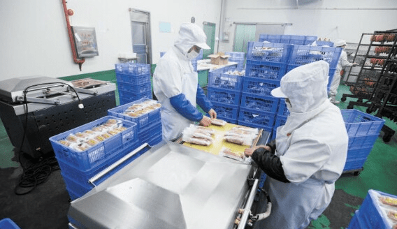 辽宁金鸿食品亮相中国民企500强盛会 展现食品科技新力量(图1)