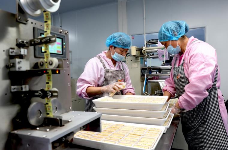 銅陵：校企“牽手” 向“新”而行(图1)