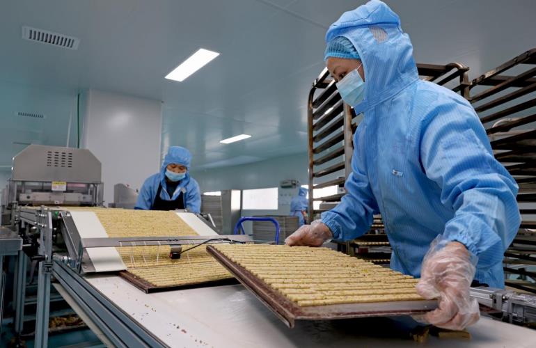 铜陵：校企“牵手” 向“新”而行(图2)