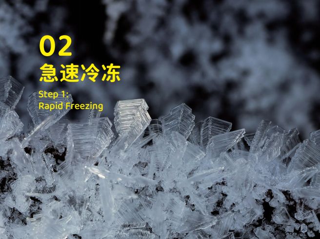 象乡宠物食品 零食界的“黑科技”宠物冻干(图1)