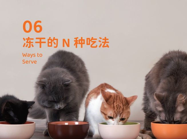 象乡宠物食品 零食界的“黑科技”宠物冻干(图5)