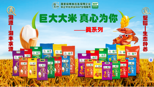 “吉林大米十大白金名片”松原市巨大粮油食品有限公司：以全链布局与科技创新加速产业高质量发展(图3)