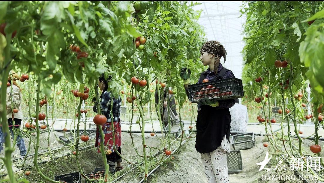 第十屆中國國際食品餐飲博覽會在長沙開幕【6】(图6)