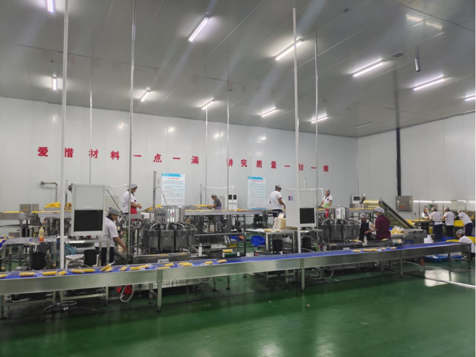 吉林鲜食玉米十大黄金名片｜吉林嘉美食品有限公司：黑土孕糯香“嘉美”谱新章(图3)