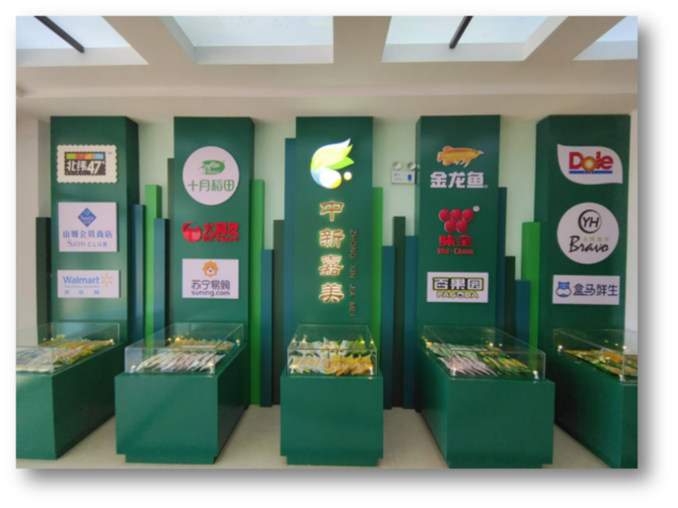 吉林鲜食玉米十大黄金名片｜吉林嘉美食品有限公司：黑土孕糯香“嘉美”谱新章(图4)