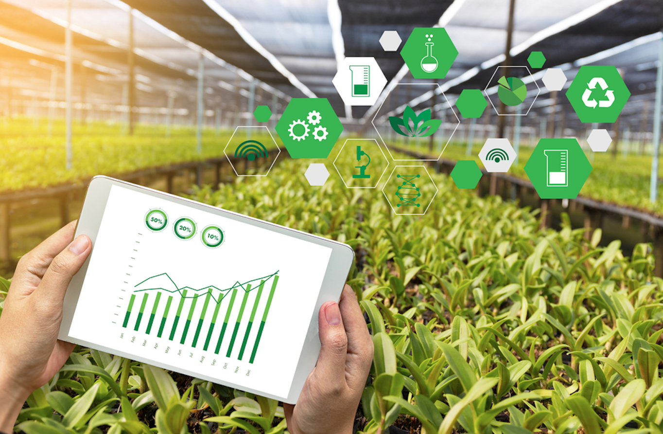 泥土地上的蓝色畅想——乡村调研有感(图1)