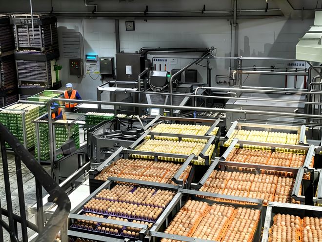 恒丰银行：暖心金融助燃新春消费年货里的金融温度 恒丰银行暖心助力装满你的新春购物车(图5)