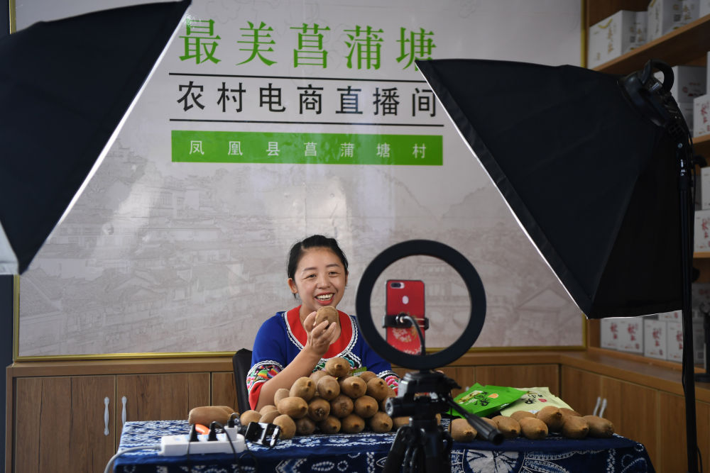 习近平总书记引领中国从脱贫攻坚迈向乡村全面振兴(图8)