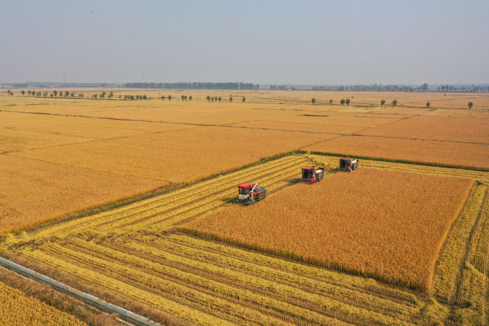 习近平总书记引领中国从脱贫攻坚迈向乡村全面振兴(图16)