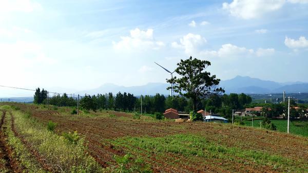 现代农业发展与国家粮食安全暨黄淮海现代农业发展战略高峰论坛(图1)