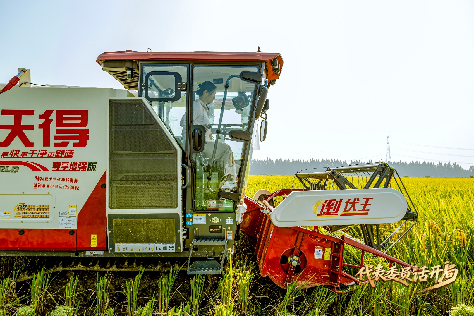 代表委员话开局｜毕利霞：让AI赋能稻田以科技守护荆楚粮仓(图1)