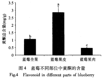 蓝莓越大营养就越少？很多人都选错了(图5)