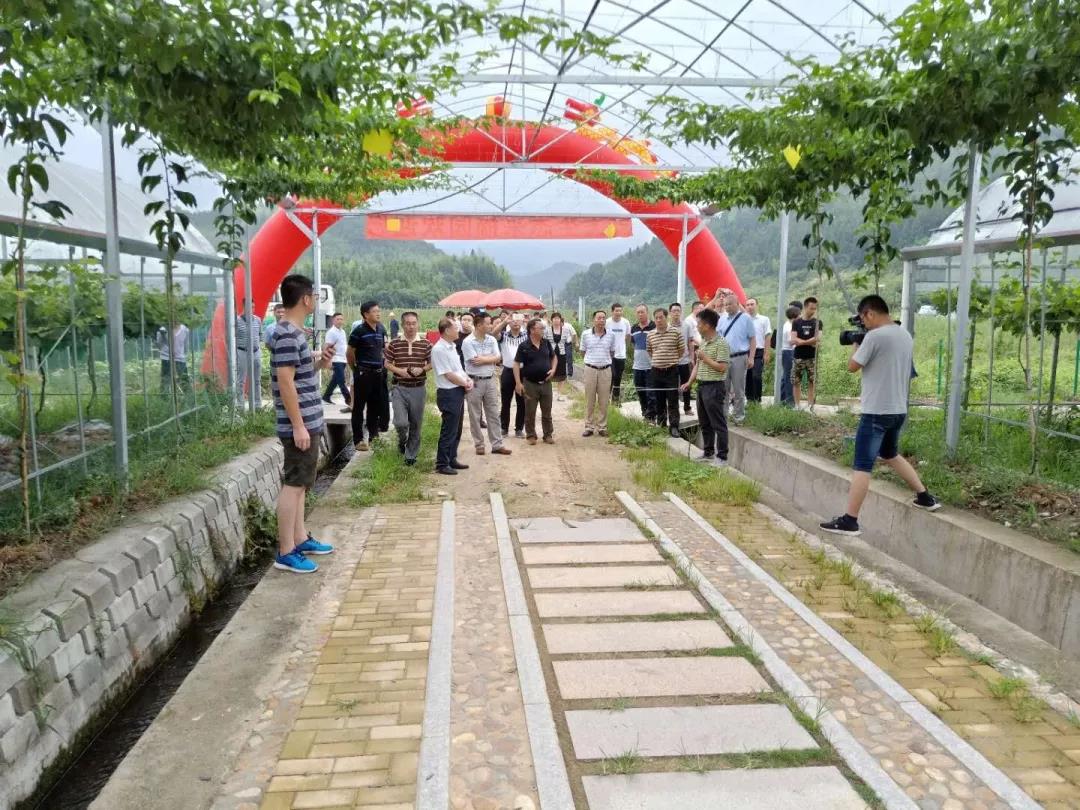 中国乡村经济的价值回归与系统重构让农民成为有尊严的职业(图1)