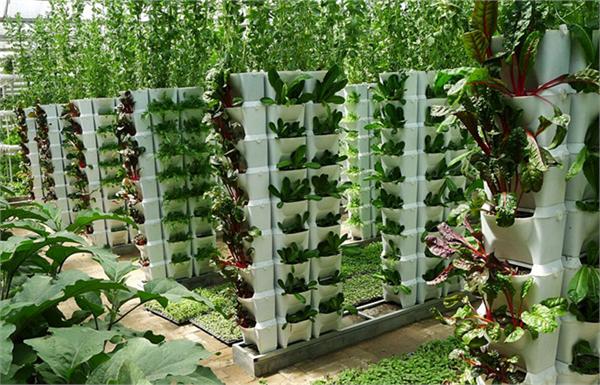 全国政协委员、农业农村部节水农业专家指导组成员马忠明：让节水插上智慧“翅膀”(图1)