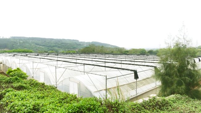 构建适应气候变化的农业防灾减灾新格局(图1)