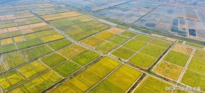 打不过中国那就饿垮中国？西方媒体算了笔账看得我大受震撼(图1)