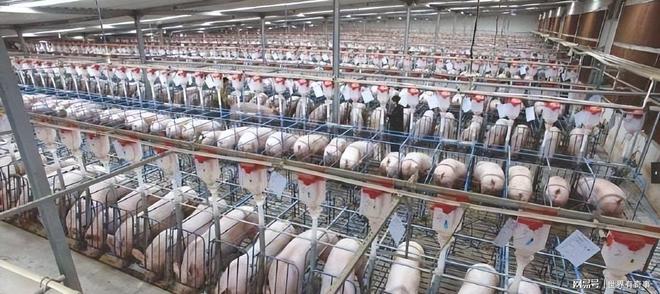 打不过中国那就饿垮中国？西方媒体算了笔账看得我大受震撼(图3)