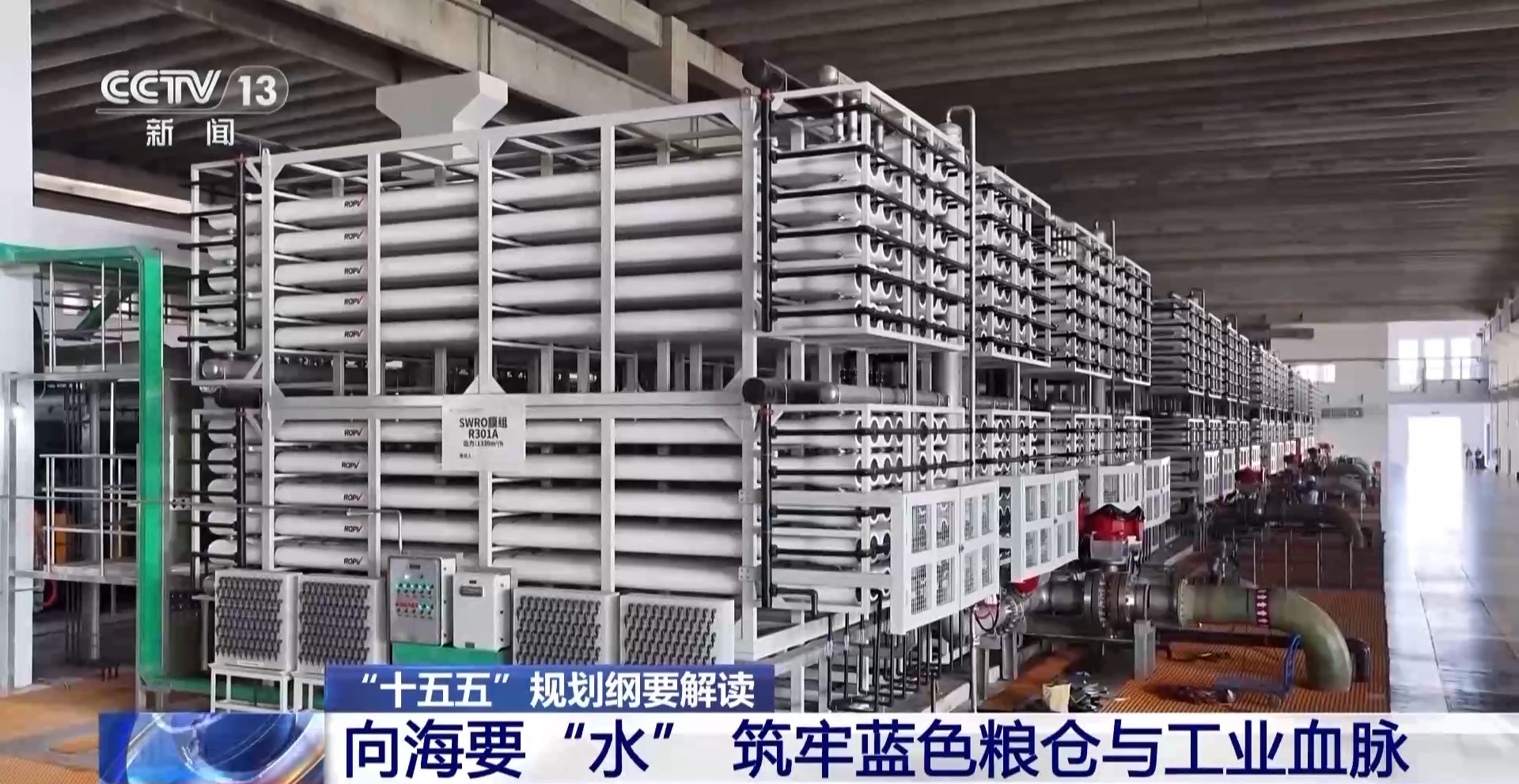 向海要水、向海要药 中国海洋经济迈向高质量发展(图1)