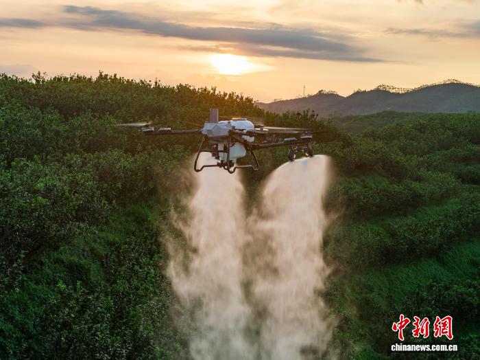 科技为农业“添翼” 浙江供销系统“智”援春耕生产(图1)