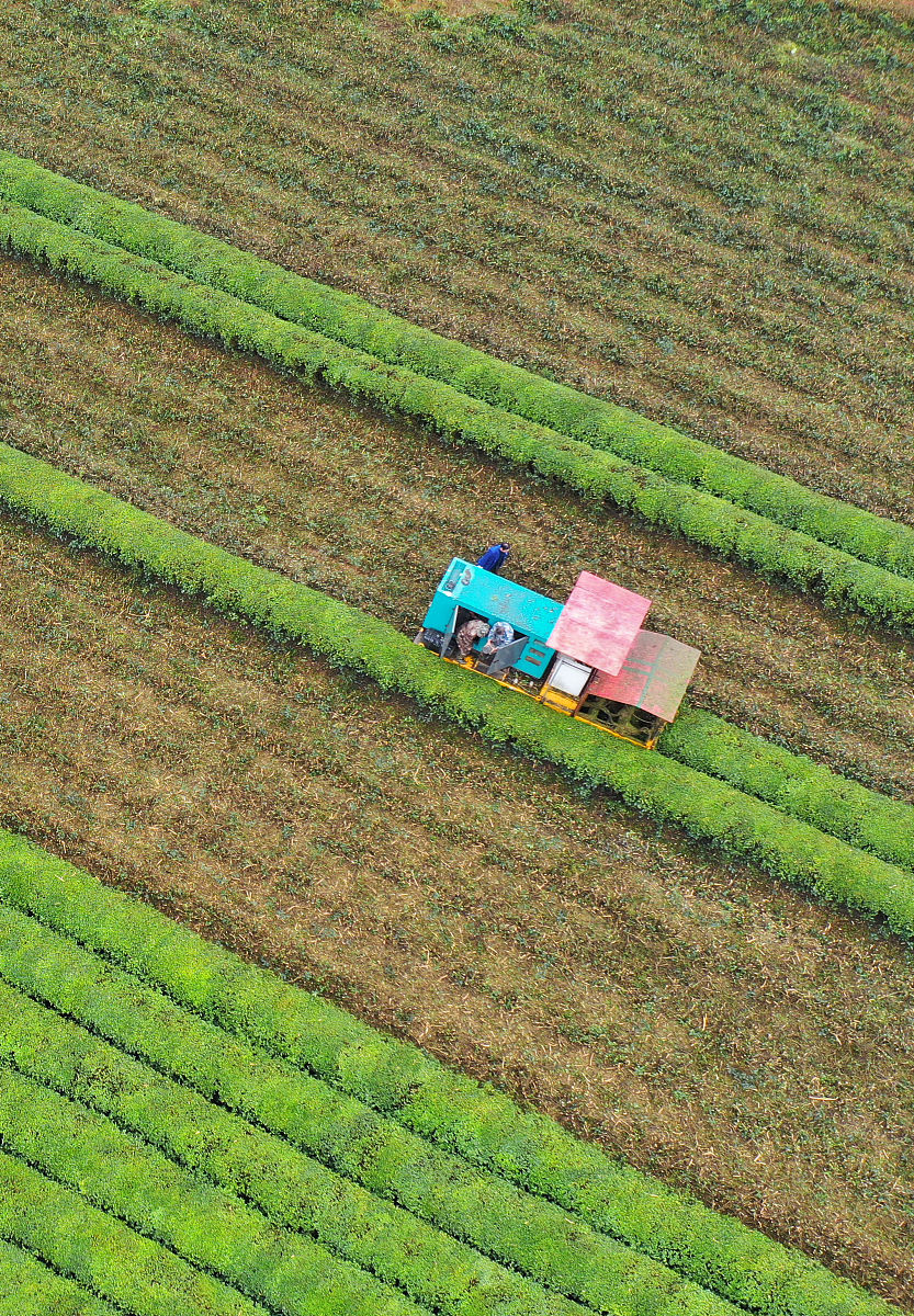 巴西多举措推动农业绿色转型(图1)