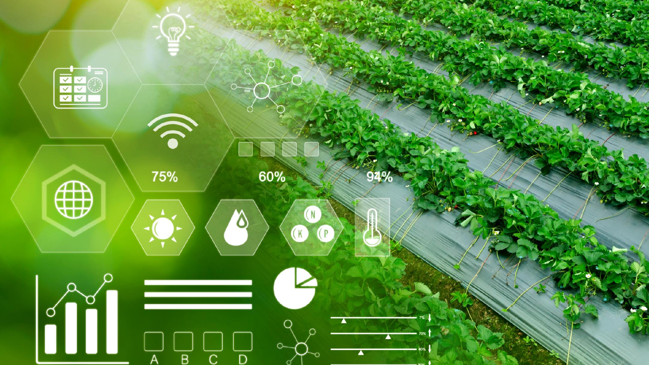 加快农业创新 推动可持续发展(图1)