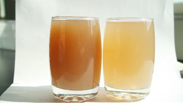 天然胶体助力重塑食品工业(图1)