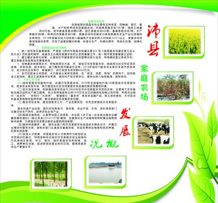 广州农业发展集团揭牌成立定位为大湾区绿色食品供应服务商