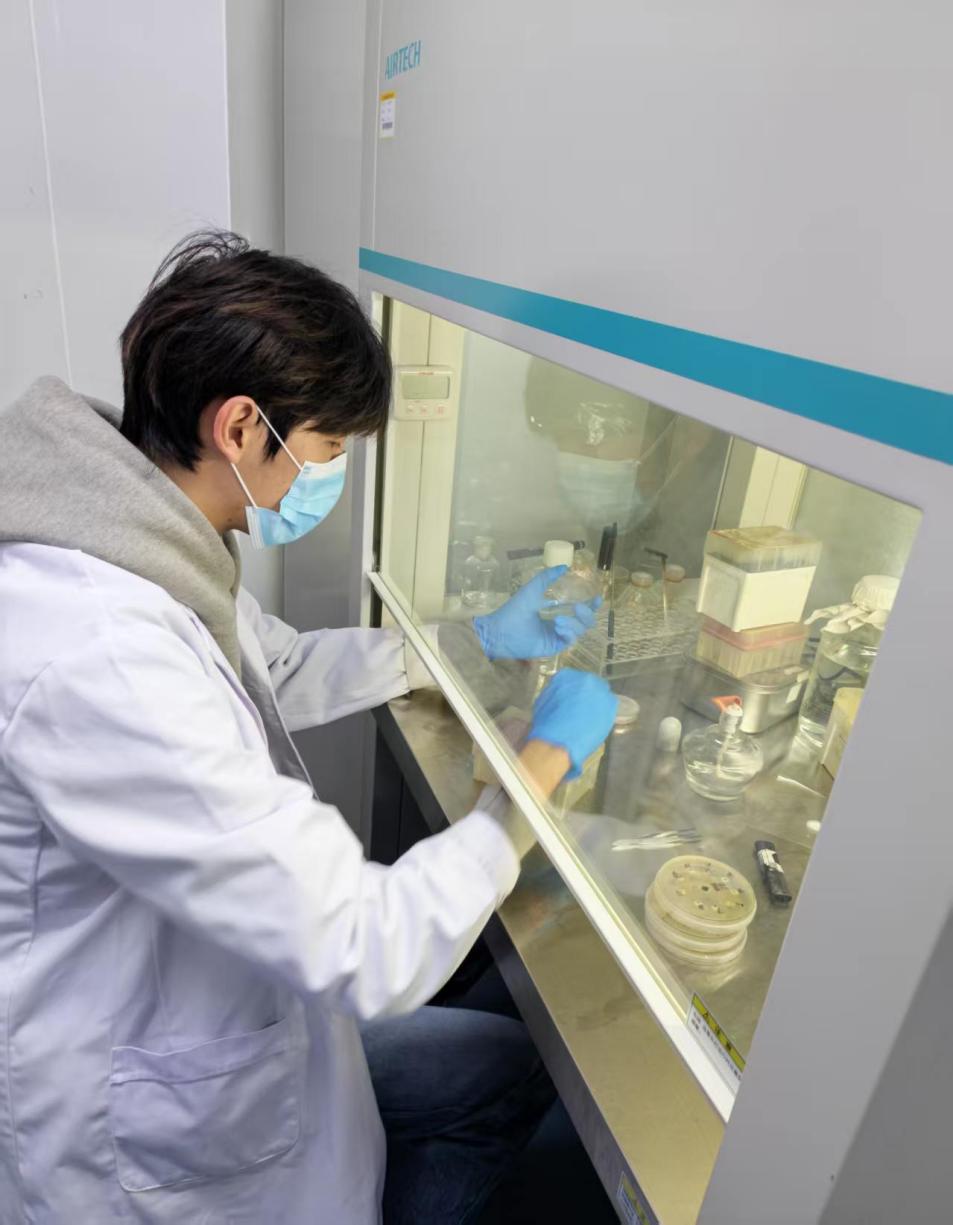 “千菌一发”团队：微生物技术破解中药材根腐病难题科技赋能绿色农业(图2)