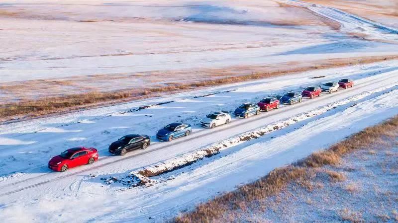 升级“石家庄味道” 焕新产业未来——石家庄现代食品产业高质量发展纪实(图1)