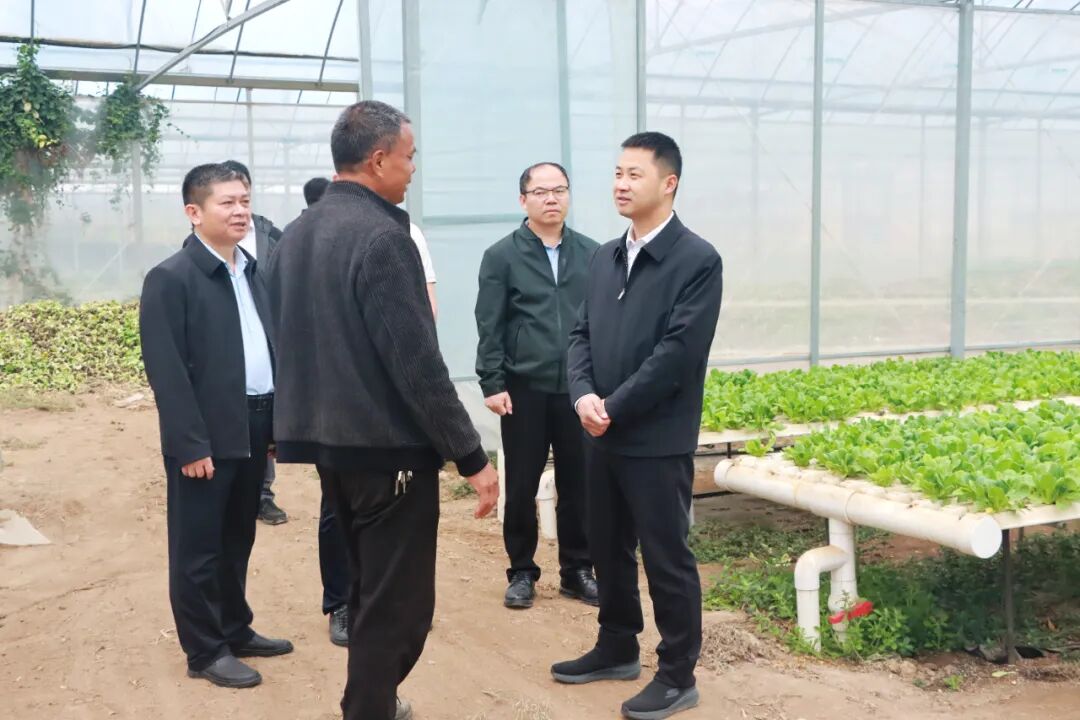 洛江区政府区长郭宁带队调研现代农业发展及春耕备耕工作