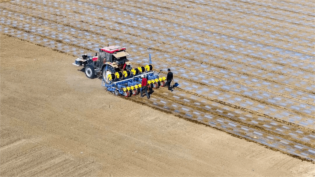 高质量发展“新”速度丨科技赋能 引领新疆农业的智慧跨越(图1)