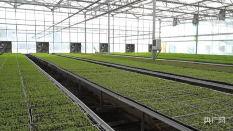 高质量发展“新”速度丨科技赋能 引领新疆农业的智慧跨越(图3)