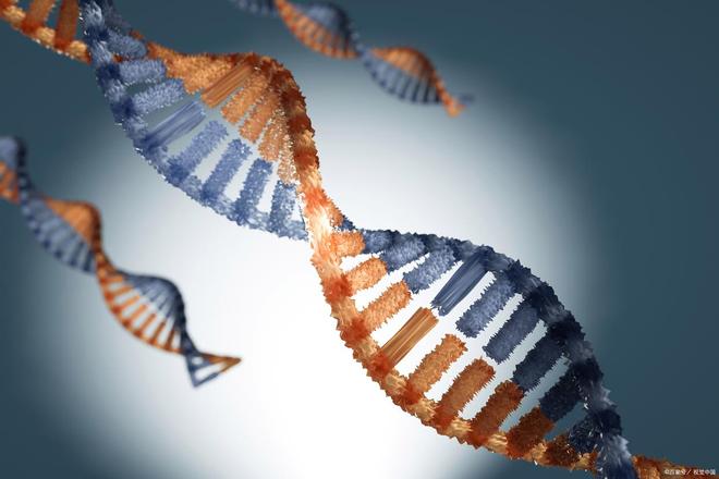 2026中国(北京)国际合成生物技术及装备展览会9月16-18日(图2)