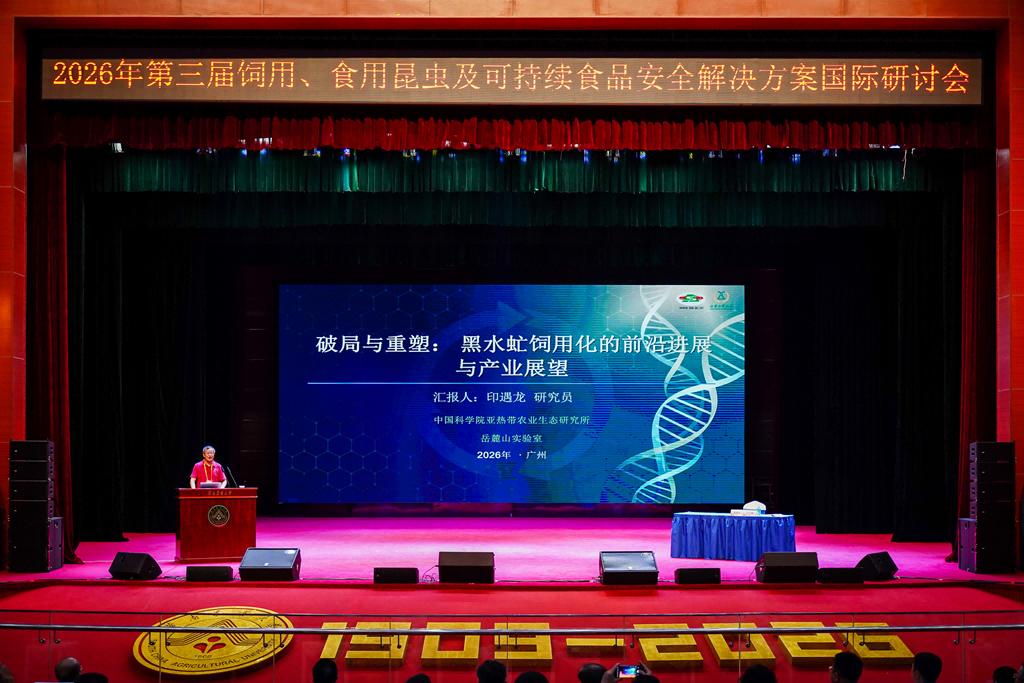 昆虫蛋白美食亮相！第三届饲用、食用昆虫国际研讨会华农举行(图2)