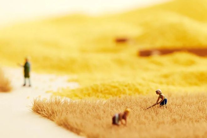 《食品科学》：哈尔滨商业大学张娜教授、王冰高级工程师等：谷物加工中风味解析技术及其释放机理的研究进展(图1)