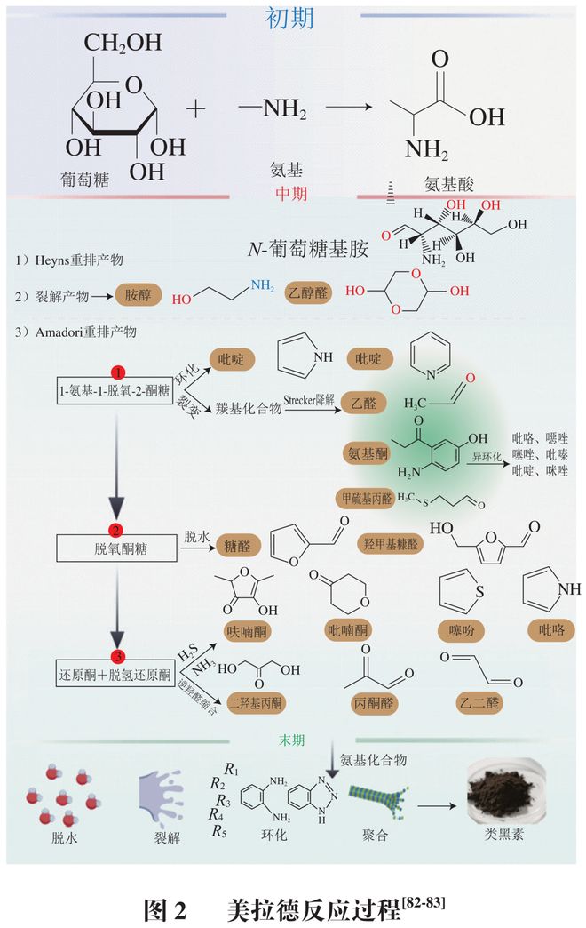 《食品科学》：哈尔滨商业大学张娜教授、王冰高级工程师等：谷物加工中风味解析技术及其释放机理的研究进展(图4)