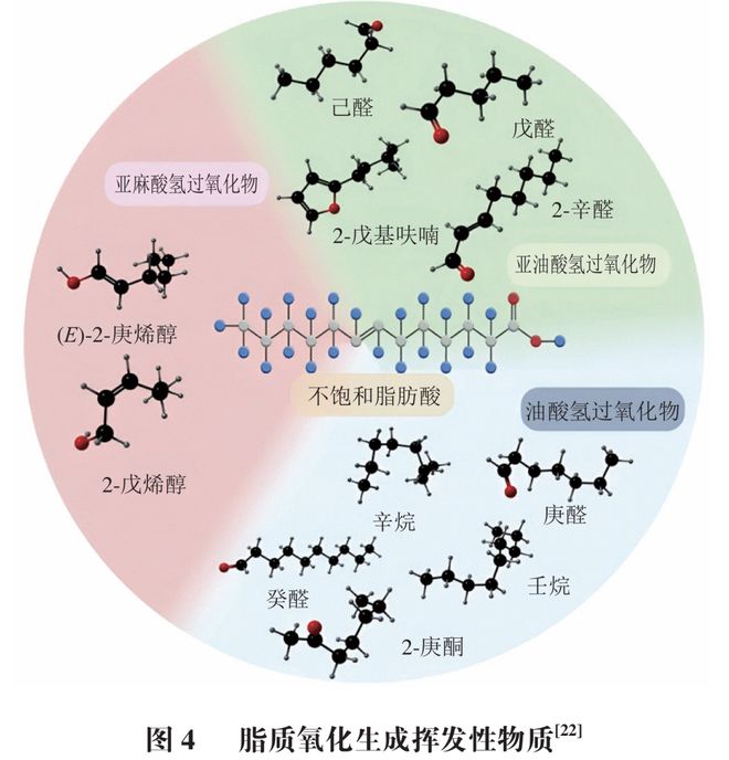 《食品科学》：哈尔滨商业大学张娜教授、王冰高级工程师等：谷物加工中风味解析技术及其释放机理的研究进展(图6)