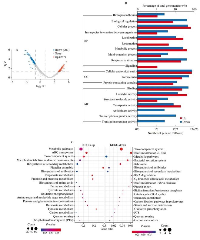 FSHW 次氯酸钠诱导的可存活但不可培养（VBNC）状态肠炎沙门菌应激反应的转录组与蛋白质组综合研究(图3)