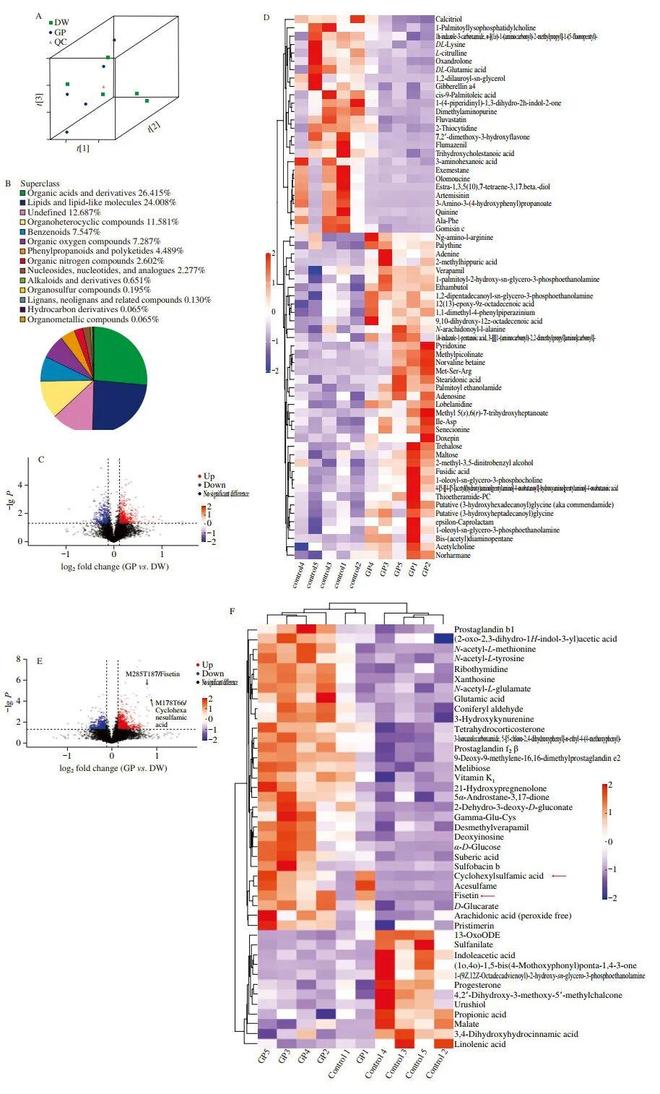 FSHW 长期葡萄粉饲料通过改变肠道微生物群和代谢组减轻小鼠实验性缺血性卒中(图3)