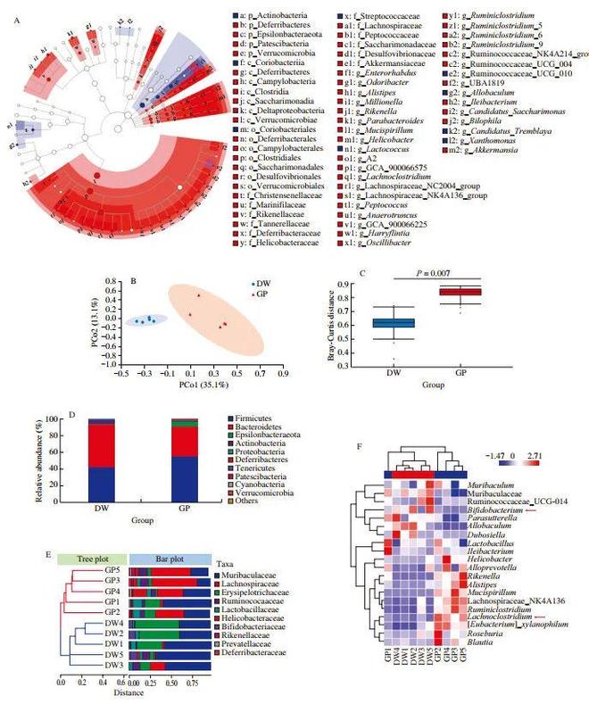 FSHW 长期葡萄粉饲料通过改变肠道微生物群和代谢组减轻小鼠实验性缺血性卒中(图2)